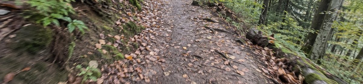 Verwackelter Waldweg beim Laufen, unten sind die Schuhspitzen zu sehen.
