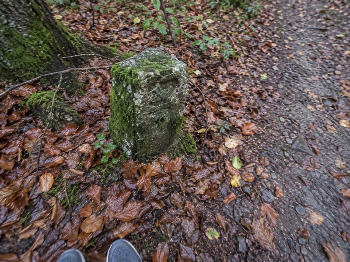 Kleiner bemooster Grenzstein neben einem schmalen Waldpfad mit Buchenlaub, unten die Spitzen der Laufschuhe.