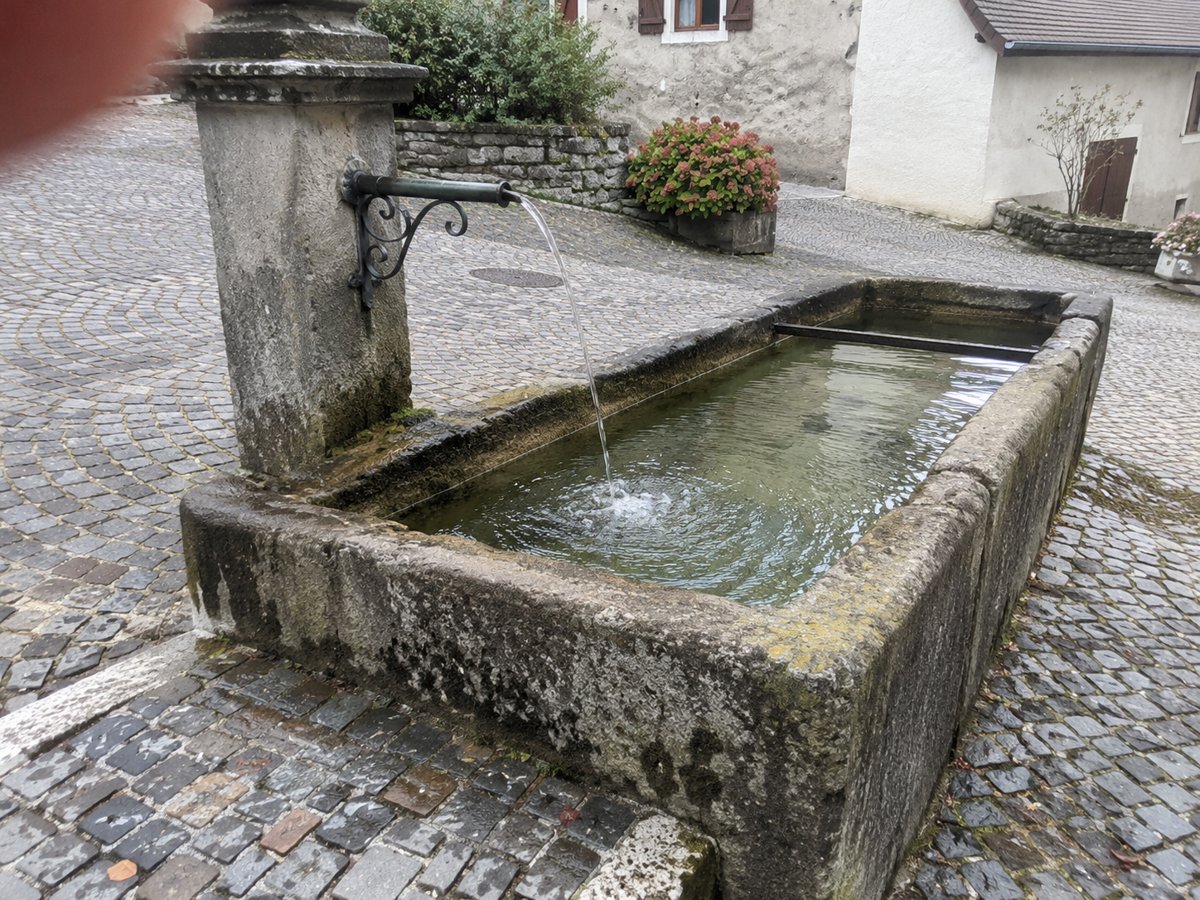Alter Dorfbrunnen mit langem Steintrog und laufendem Wasser auf einem gepflasterten Platz.