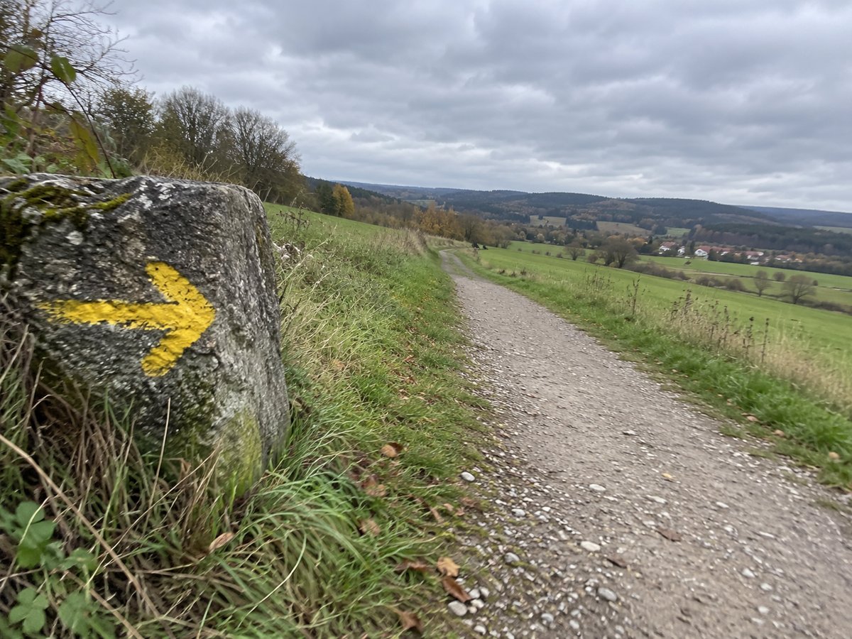 Gelber Pfeil auf einem grauen Stein am Rand eines Feldwegs, der durch Wiesen weiterführt.