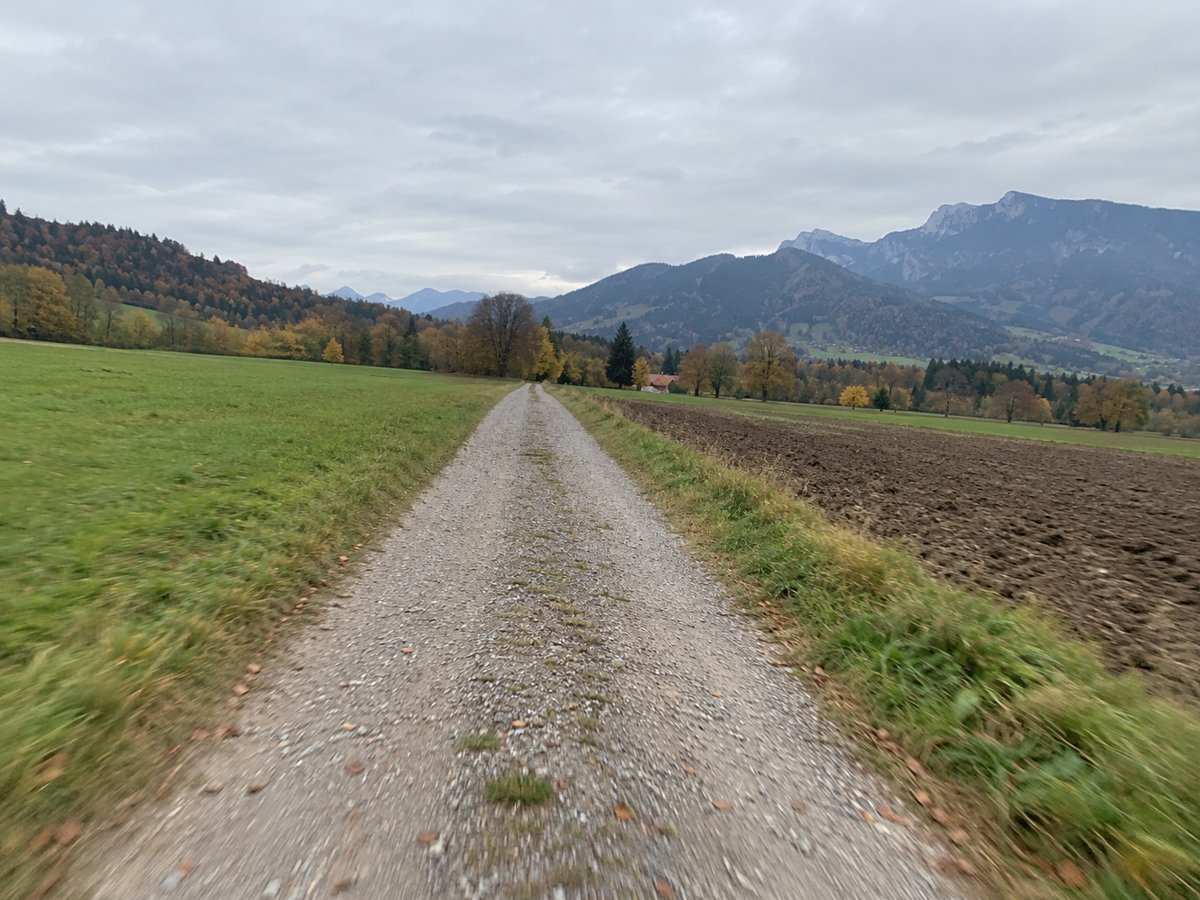 Langer gerader Schotterweg zwischen Feldern, im Hintergrund die Voralpen im Herbst.