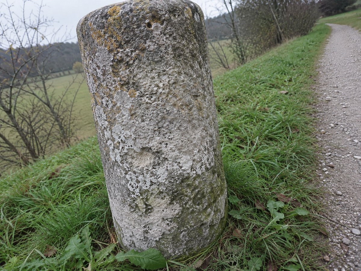 Verwitterte runde Steinsäule mit Flechten im Gras neben einem Feldweg, die Inschrift ist nicht mehr lesbar.