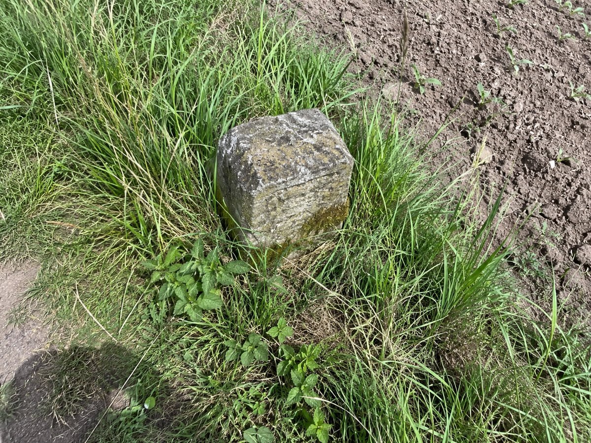 Niedriger Viertelmeilenstein im hohen Gras am Feldrand, von oben fotografiert.